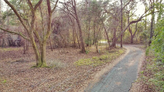 0 Moorhen Cir, Tallahassee, FL 32312 - photo 21