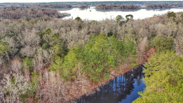 0 Moorhen Cir, Tallahassee, FL 32312 - photo 32
