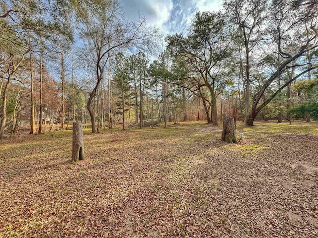 0 Moorhen Cir, Tallahassee, FL 32312 - photo 13