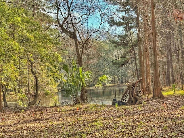 0 Moorhen Cir, Tallahassee, FL 32312 - photo 34