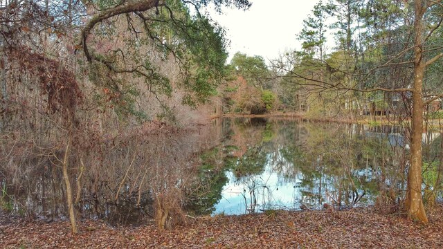 0 Moorhen Cir, Tallahassee, FL 32312 - photo 25