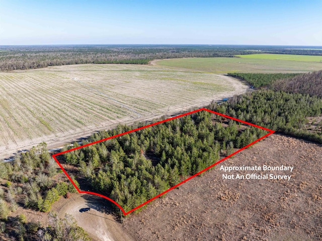 Listing photo 2 for 000 NE Loblolly Trl, Lee FL 32059