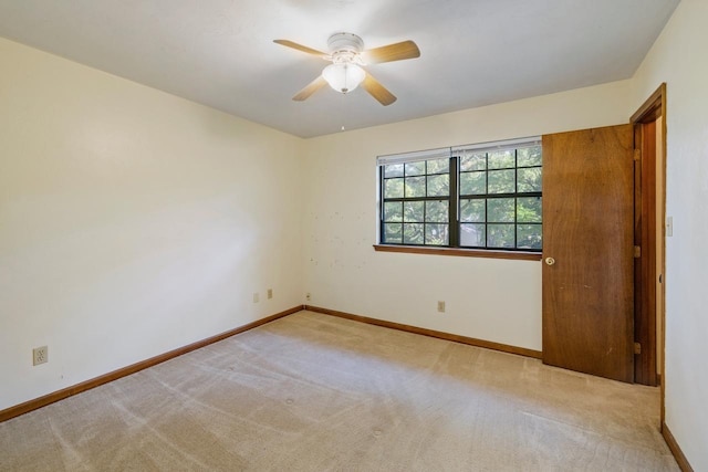 3955 Bothwell Ter, Tallahassee, FL 32317 - photo 21