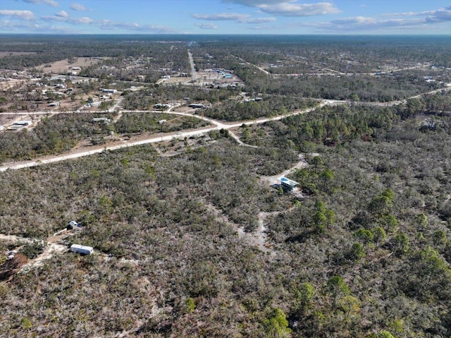 3045 Yates Creek Rd, Perry FL, 32348 land for sale