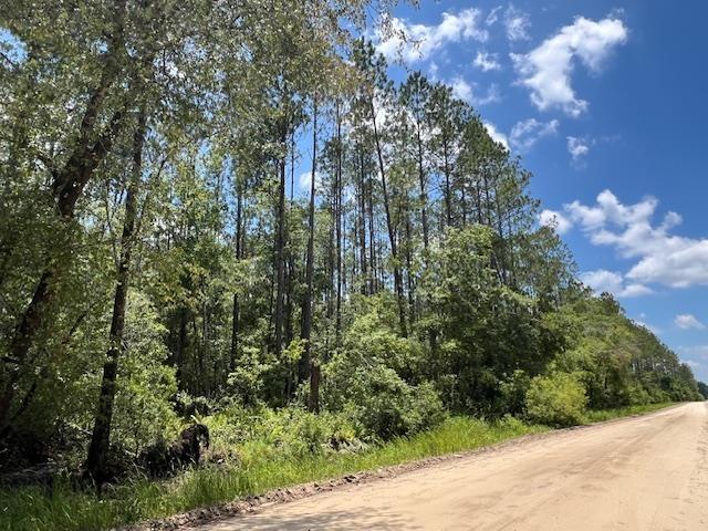 TBD SW Open Sands Loop, Greenville, FL 32331 - photo 6