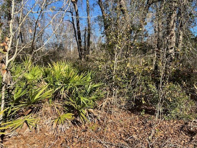 TBD SW Open Sands Loop, Greenville, FL 32331 - photo 8