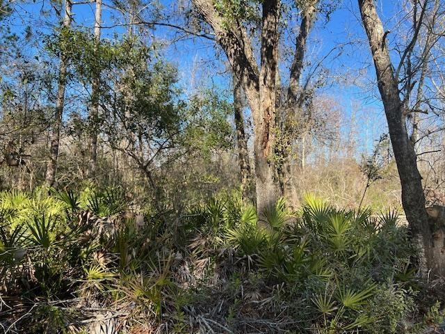 TBD SW Open Sands Loop, Greenville, FL 32331 - photo 7