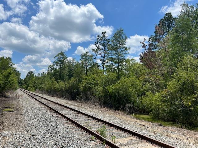 TBD SW Open Sands Loop, Greenville, FL 32331 - photo 4