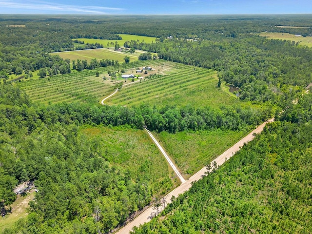 aerial view featuring a rural view