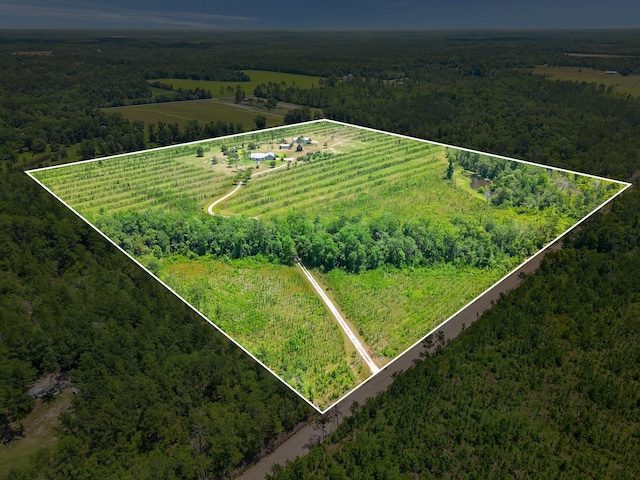 birds eye view of property with a rural view