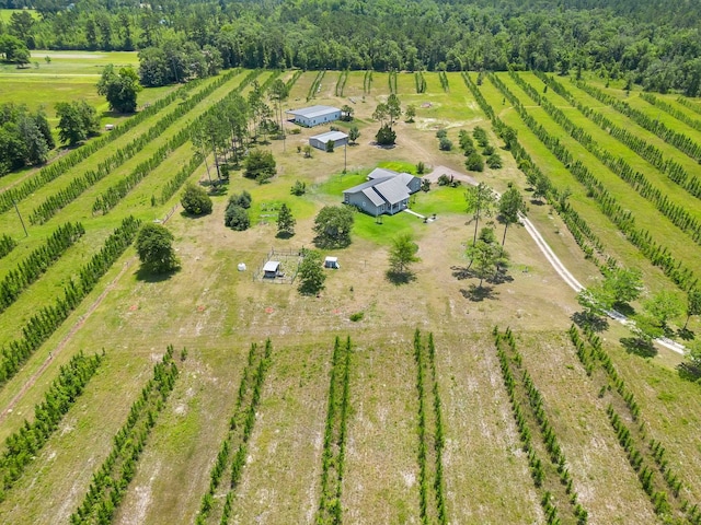 birds eye view of property featuring a rural view