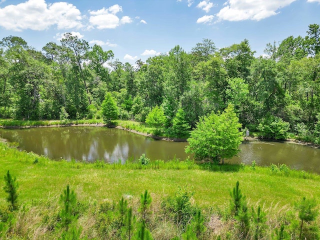property view of water