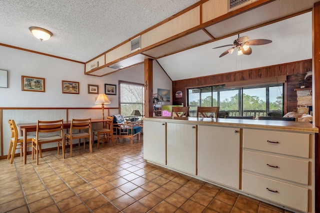 kitchen featuring lofted ceiling, a wealth of natural light, and wood walls