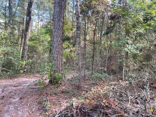 Holy Ghost Ct, Crawfordville FL, 32327 land for sale