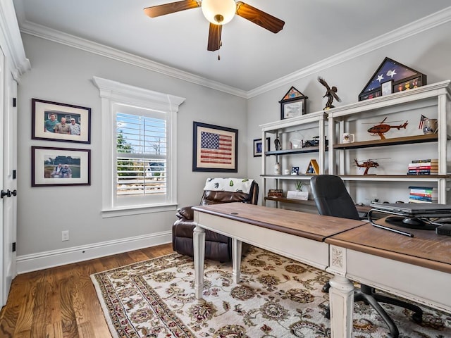 home office featuring ceiling fan, ornamental molding, and dark hardwood / wood-style flooring