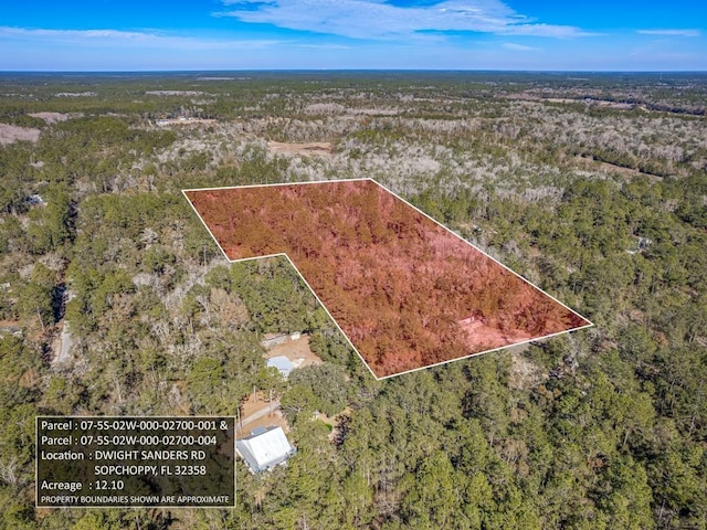 0 Dwight Sanders Rd, Sopchoppy FL, 32358 land for sale