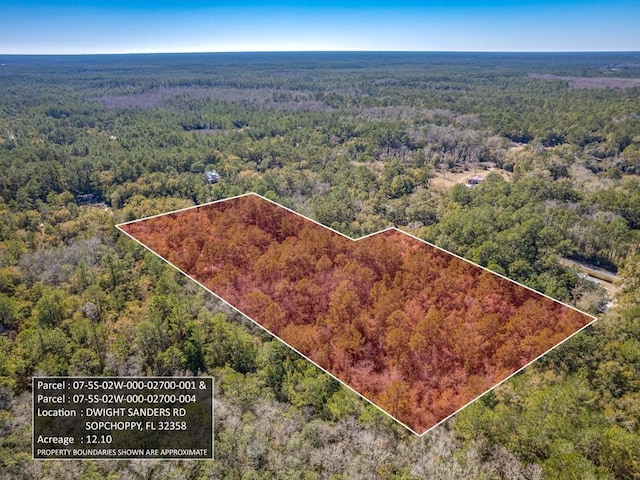 Listing photo 3 for 0 Dwight Sanders Rd, Sopchoppy FL 32358