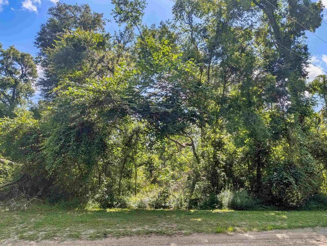 NE River Ridge Way, Lee, FL 32059