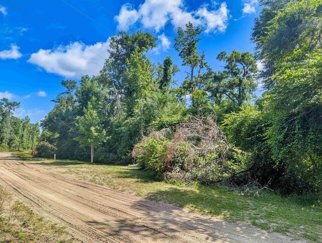 NE River Ridge Way, Lee, FL 32059