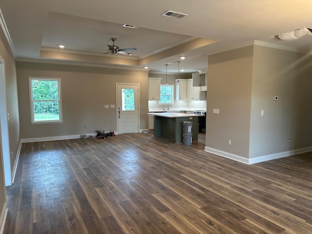 158 Woodridge Ln, Cairo, GA 39827 - kitchen with open floor plan, ornamental molding, a tray ceiling, baseboards, and recessed lighting