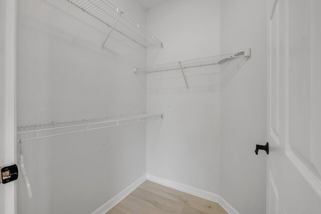2801 Chancellorsville Dr Unit 236, Tallahassee, FL 32312 - walk in closet featuring light wood-style floors