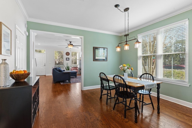 dining space featuring dark wood-type flooring, ornamental molding, and ceiling fan