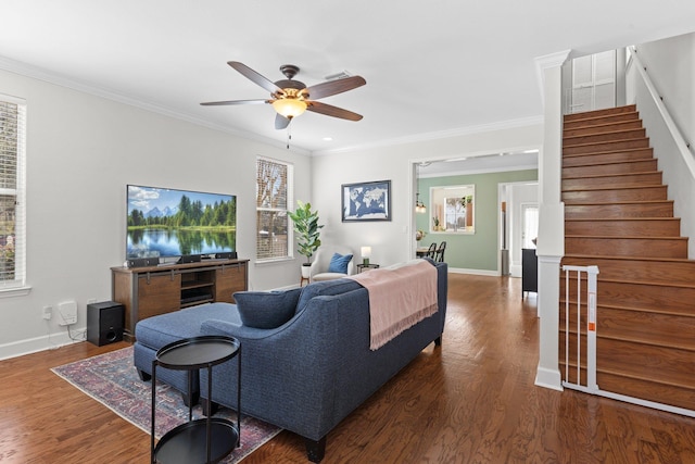 living room featuring crown molding, ceiling fan, and dark hardwood / wood-style flooring