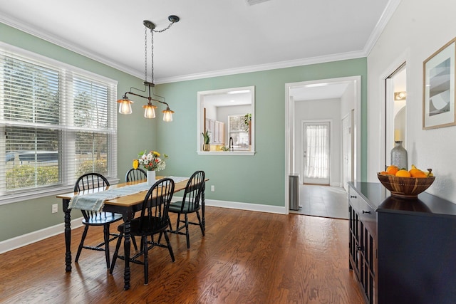 dining room with ornamental molding and dark hardwood / wood-style flooring