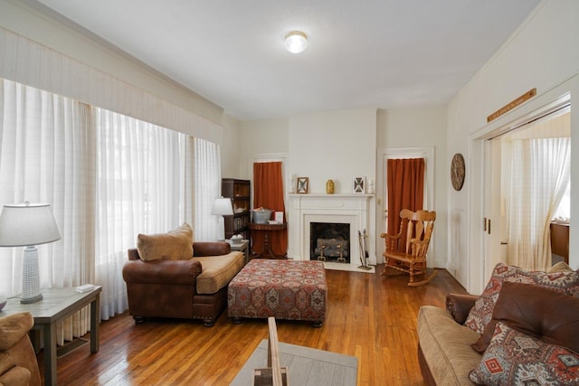 living room featuring wood-type flooring