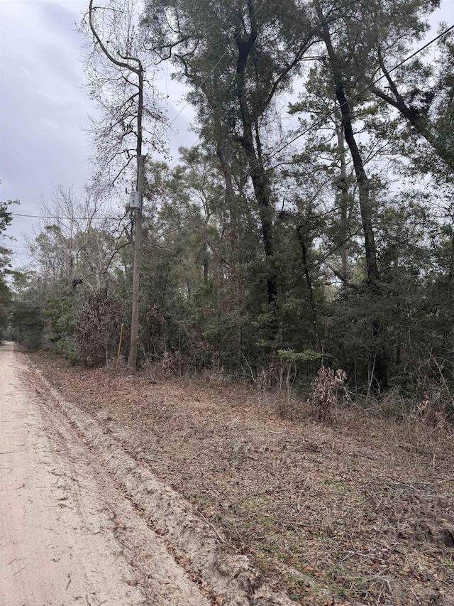 Listing photo 3 for LOT14 Neeley Rd, Crawfordville FL 32327