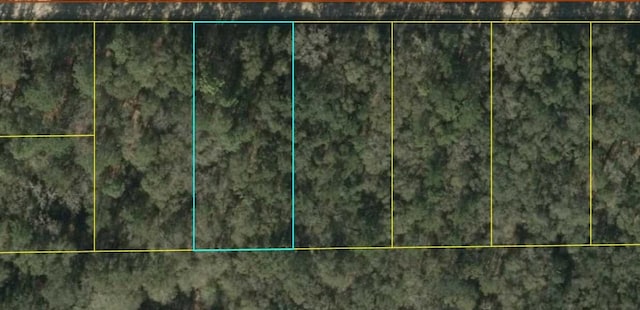 Listing photo 2 for Vacant Ne Blue Springs Church Road, Lee FL 32059