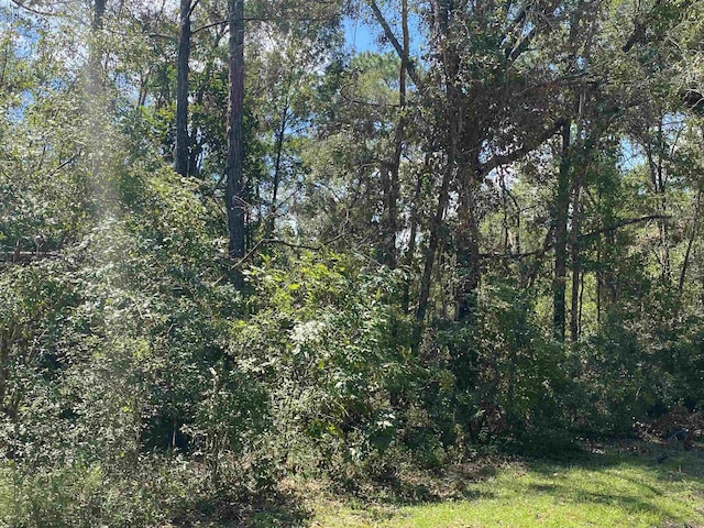 Vacant Ne Blue Springs Church Road, Lee FL, 32059 land for sale