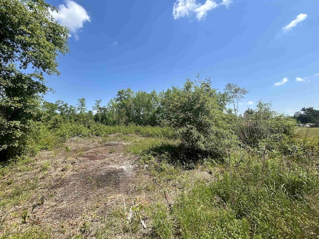 0 Ochlocknee River Rd, Havana, FL 32333 - photo 6