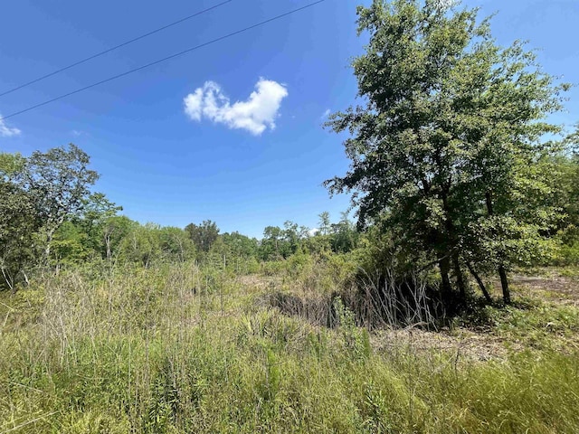0 Ochlocknee River Rd, Havana, FL 32333 - photo 5