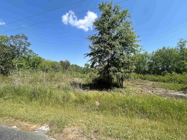 0 Ochlocknee River Rd, Havana, FL 32333 - photo 4