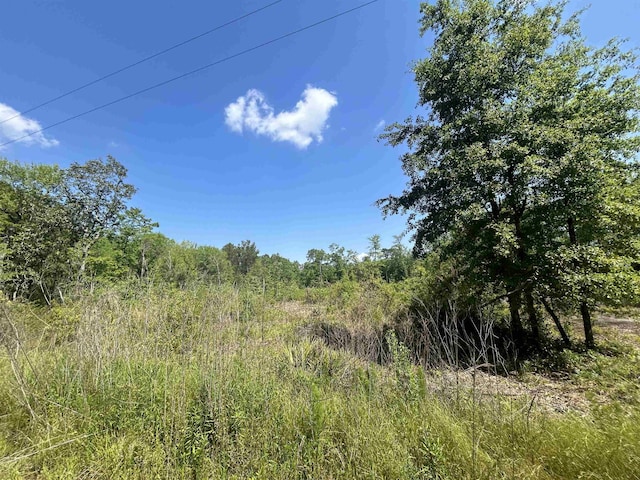 0 Ochlocknee River Rd, Havana, FL 32333 - photo 2