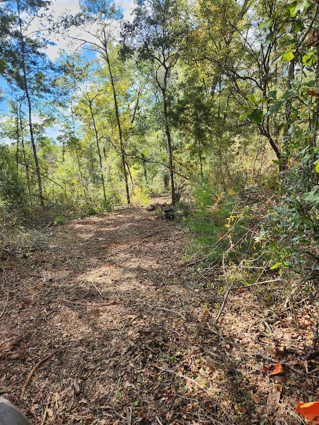 0 Ochlocknee River Rd, Havana, FL 32333 - photo 10