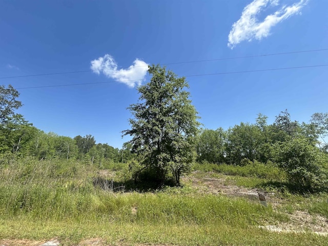 Listing photo 3 for 0 Ochlocknee River Rd, Havana FL 32333