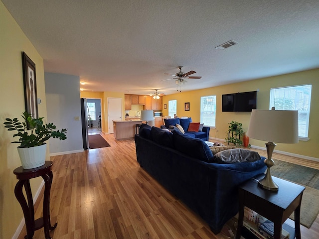 living room with wood-type flooring, plenty of natural light, and a textured ceiling