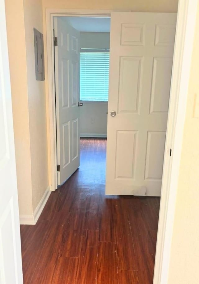 317 Mabry St Unit 1011, Tallahassee, FL 32304 - photo 6