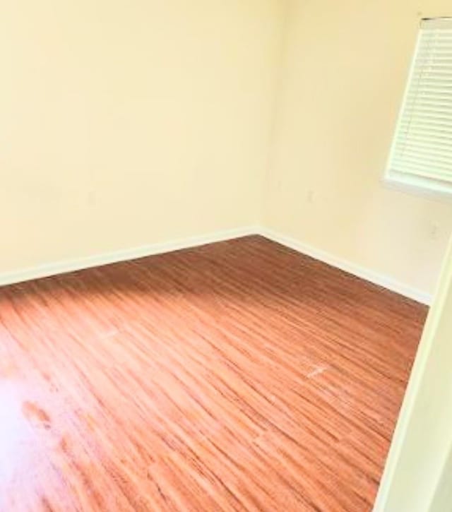 317 Mabry St Unit 1011, Tallahassee, FL 32304 - photo 12
