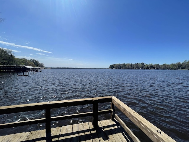 dock area with a water view