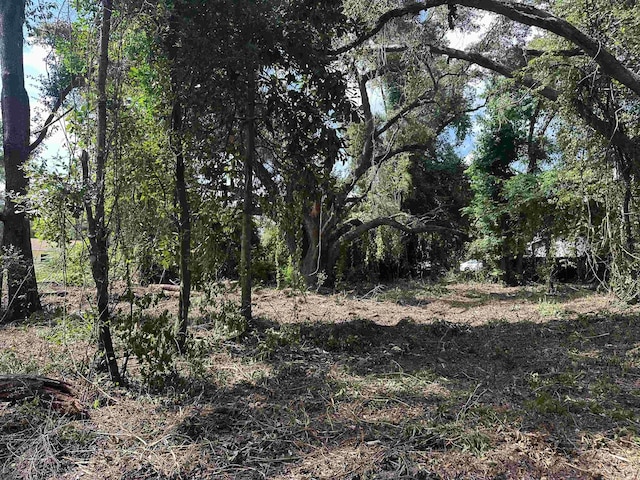 0 Longhorn Dr, Tallahassee, FL 32311 - photo 16