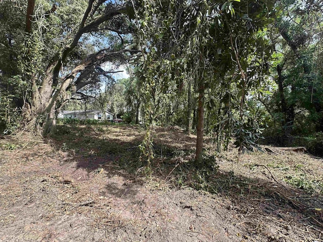 0 Longhorn Dr, Tallahassee, FL 32311 - photo 12