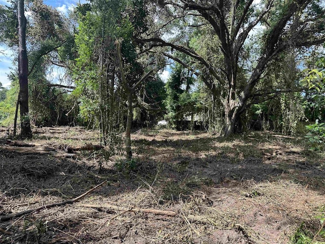 0 Longhorn Dr, Tallahassee, FL 32311 - photo 18