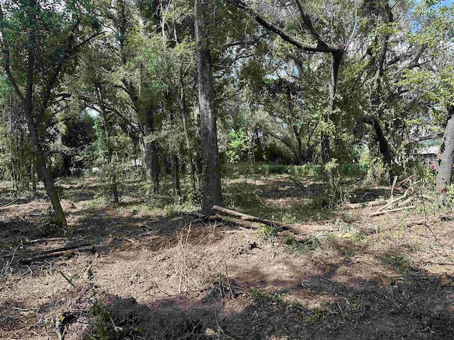 0 Longhorn Dr, Tallahassee, FL 32311 - photo 19