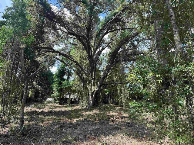 0 Longhorn Dr, Tallahassee, FL 32311 - photo 17