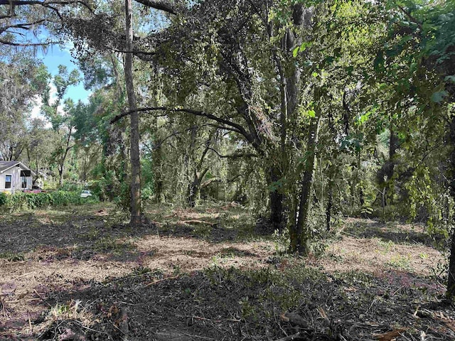 0 Longhorn Dr, Tallahassee, FL 32311 - photo 10