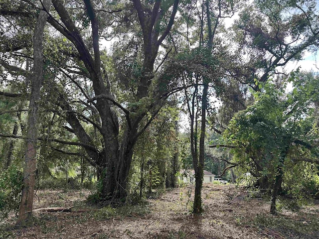 0 Longhorn Dr, Tallahassee, FL 32311 - photo 8