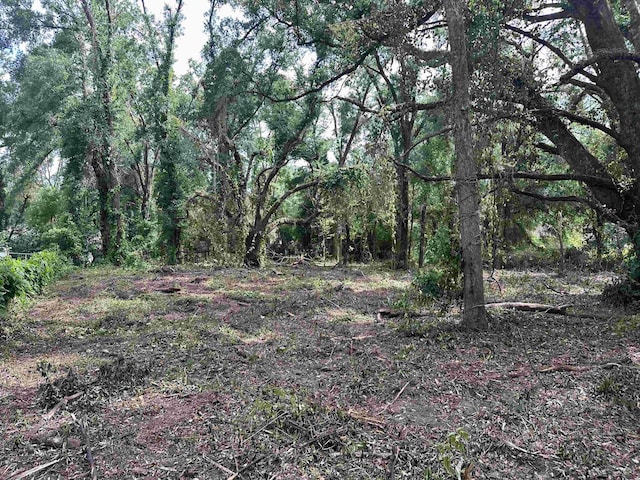 0 Longhorn Dr, Tallahassee, FL 32311 - photo 9